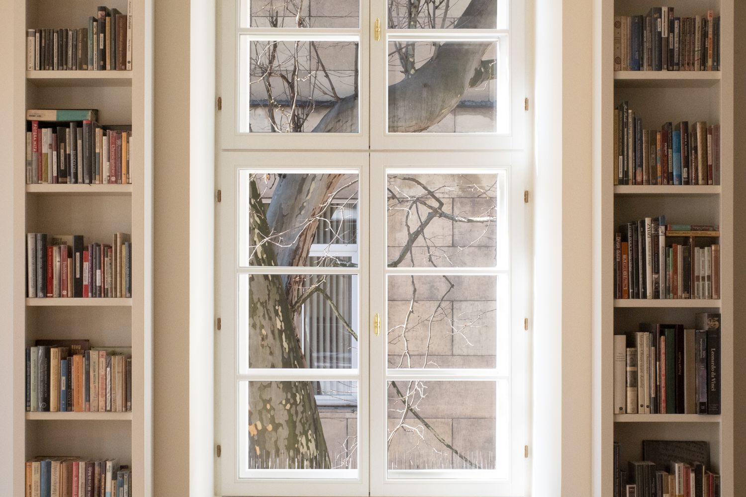 Na fotografii wnętrze Filii Sztuki Biblioteki Raczyńskich. Widać białe regały książkowe i duże okno, za którym widać fragment pnia i gałęzi platana.