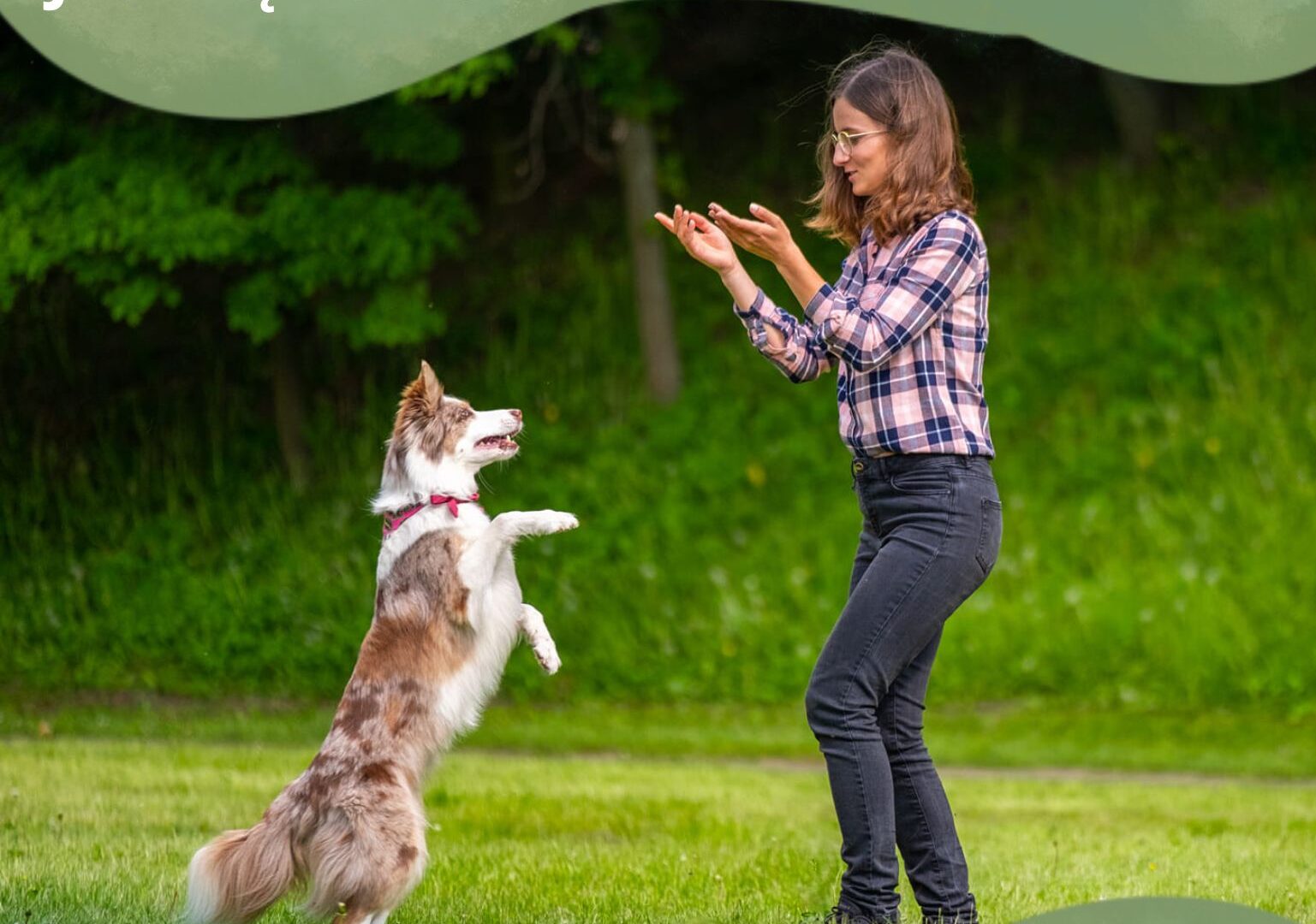 kobieta bawi się psem na zielonym trawniku