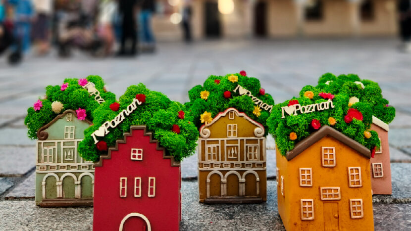 Obrazek do wydarzenia, na bruku na poznańskim starym rynku stoją małe domki z kępami mchu na daszkach. W tle rozmyte domki budnicze.